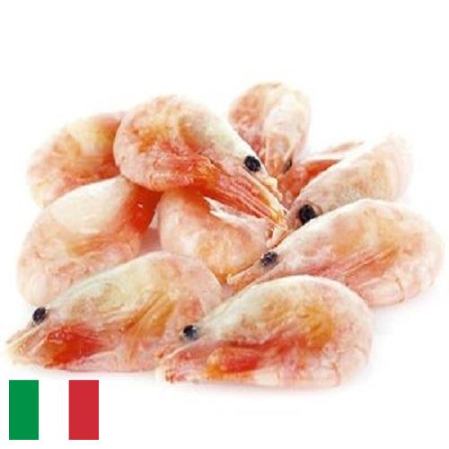 замороженные креветки из Италии