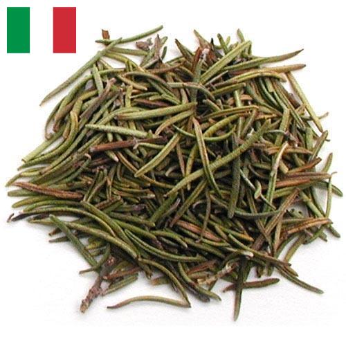 зелень сушеная из Италии