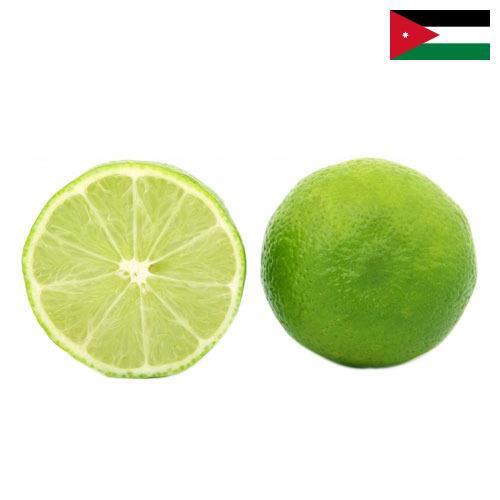 лайм из Иордании