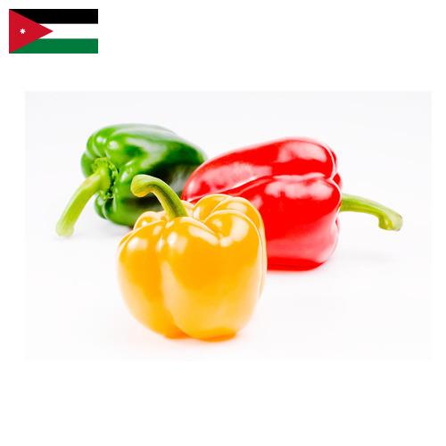 Перец сладкий из Иордании