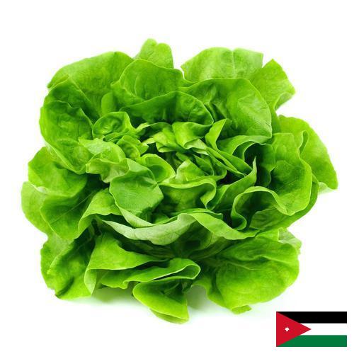 салат из Иордании
