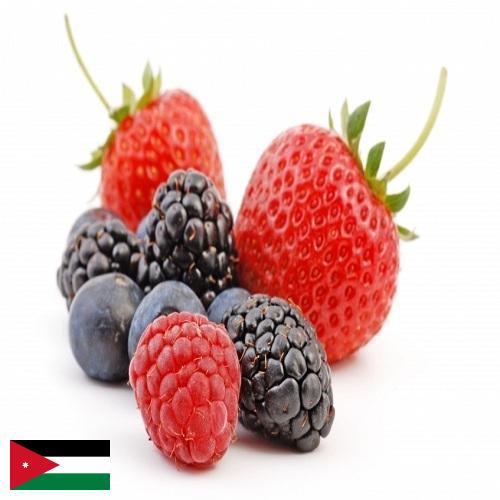 Ягоды из Иордании