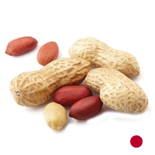 арахис очищенный из Японии