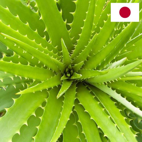 экстракты растений из Японии