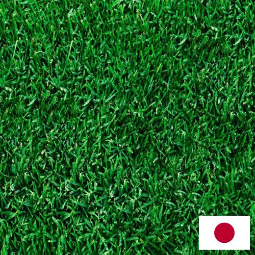 Газонная трава из Японии