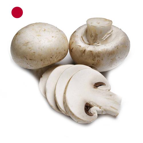 Грибок из Японии