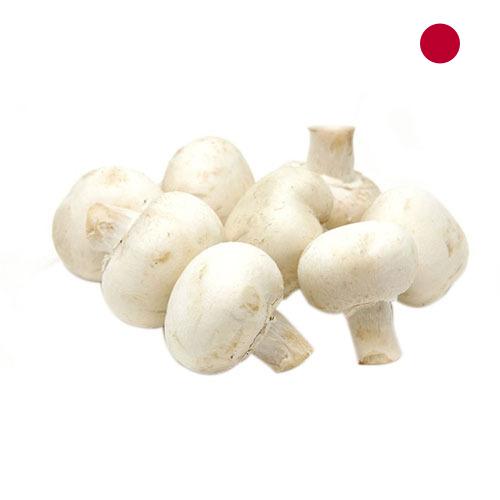 Грибы белые из Японии