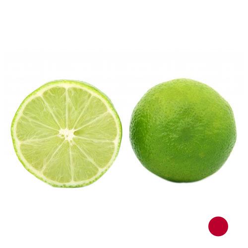 Известь из Японии