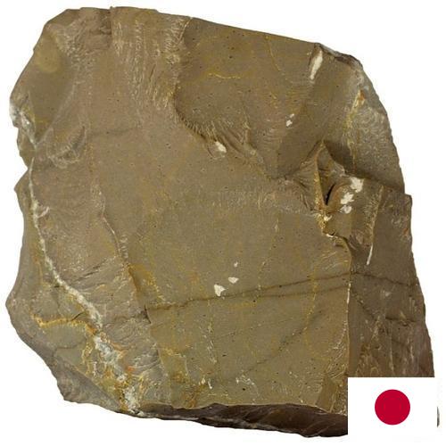 Известняк из Японии