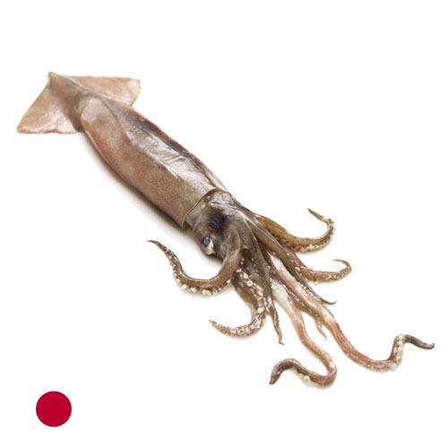 Кальмары из Японии