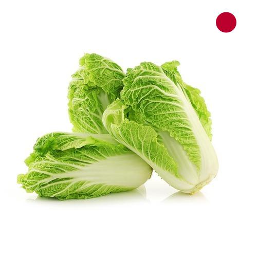 капуста пекинская из Японии