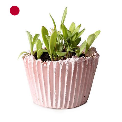 Кашпо из Японии