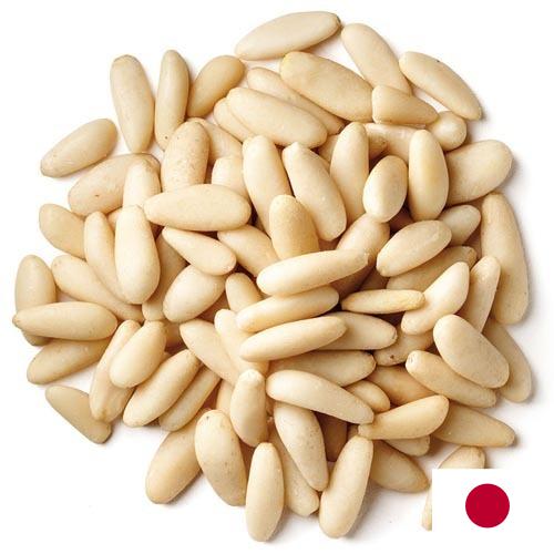 Кедровые орехи из Японии