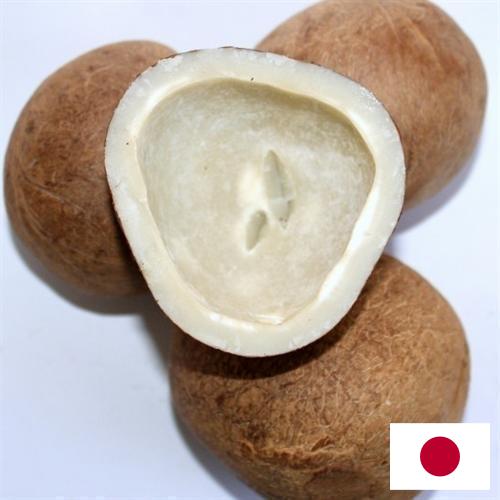 Кокос сушеный из Японии