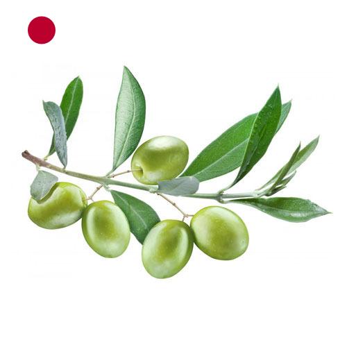 маслины оливки из Японии