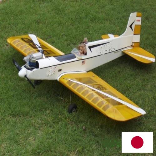 модель самолета из Японии