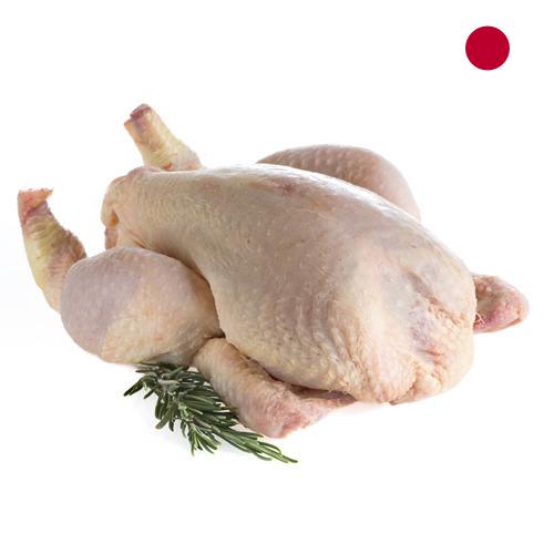 мясо птицы тушка из Японии