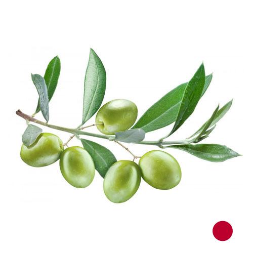 Оливки из Японии