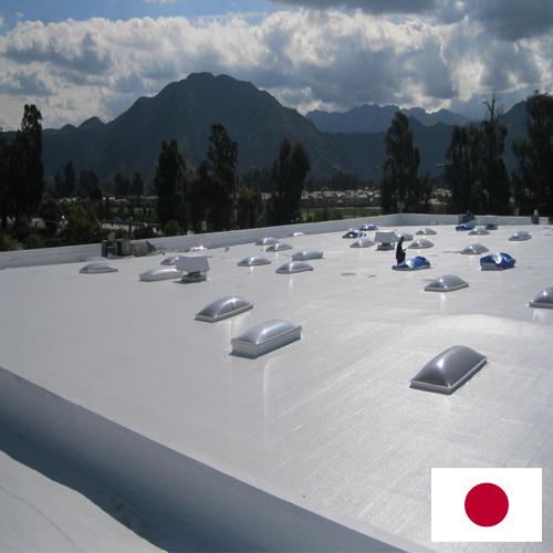 Покрытия акриловые из Японии