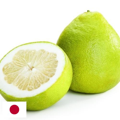 Помело из Японии