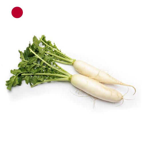 редиска из Японии