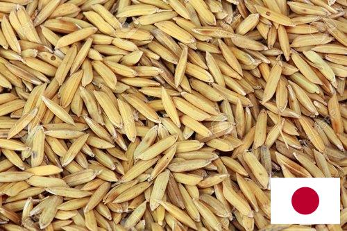 рис сырец из Японии