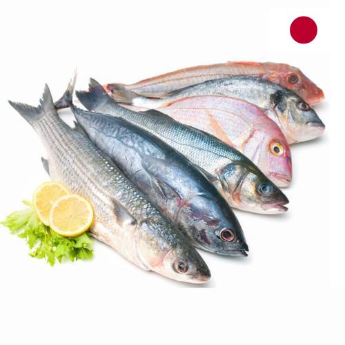 рыба и морепродукты из Японии