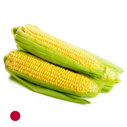 Сахарная кукуруза из Японии