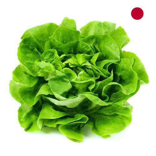 салат из Японии