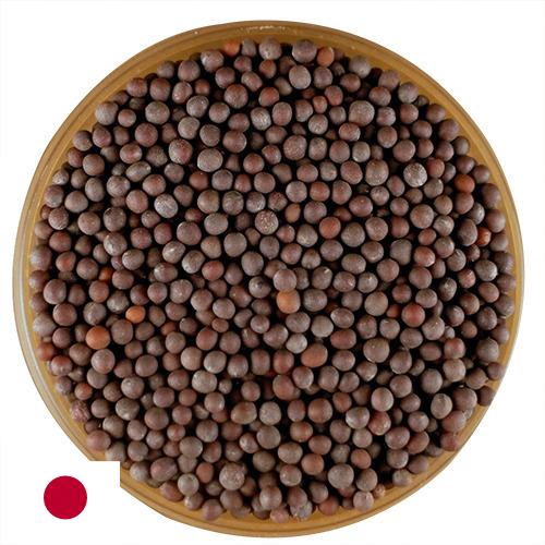 семена горчица из Японии