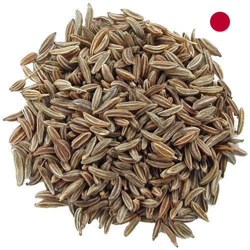 Семена тмина из Японии