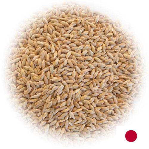 семена трав из Японии