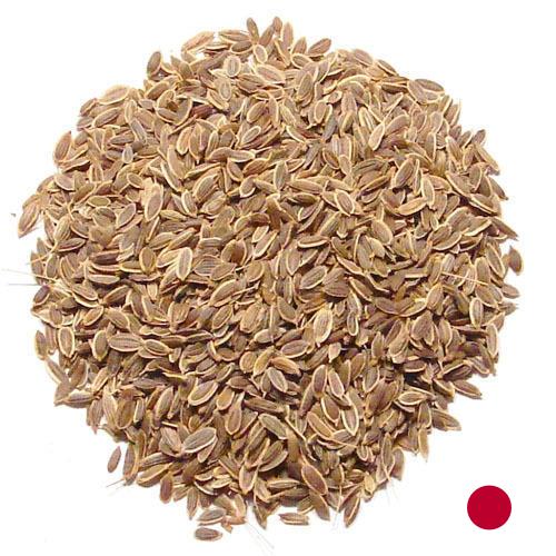 Семена укропа из Японии