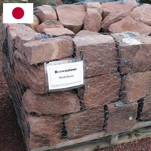 Скумбрия из Японии