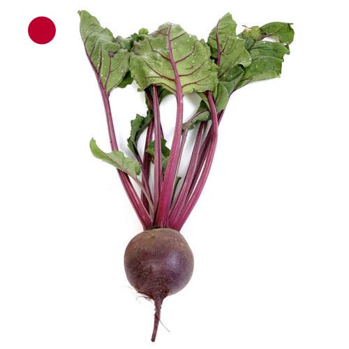 Свекла столовая из Японии