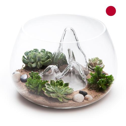 Террариумы из Японии