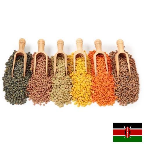 Бобовые культуры из Кении