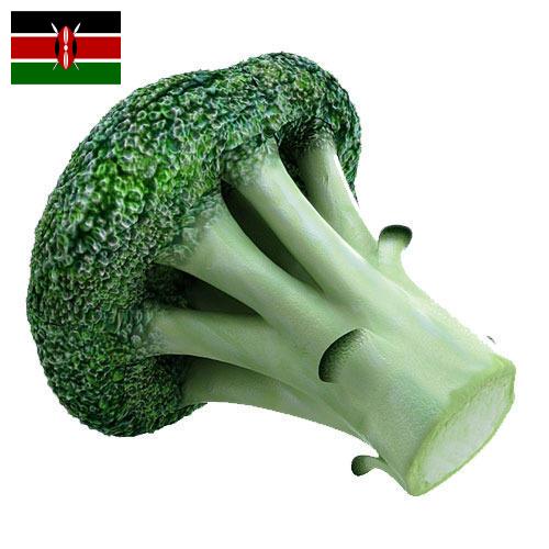брокколи из Кении