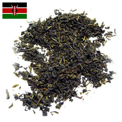 чай крупнолистовой из Кении