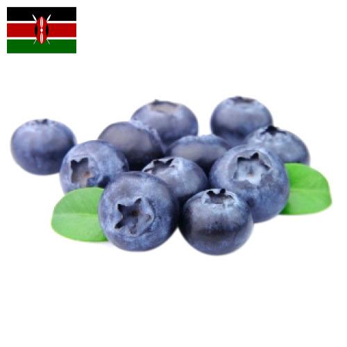 Голубика из Кении