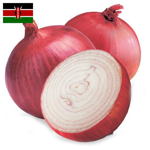 Лук красный из Кении