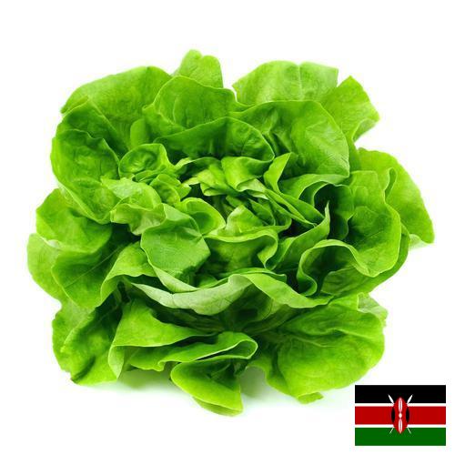 салат из Кении