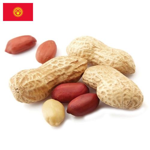 арахис очищенный из Киргизии