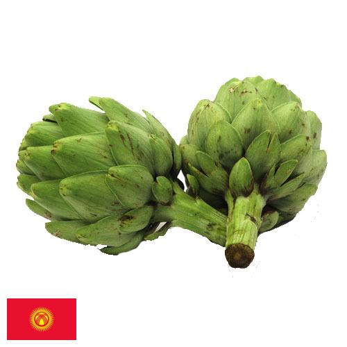 артишок из Киргизии