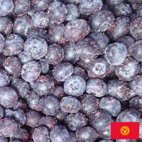 черника замороженная из Киргизии