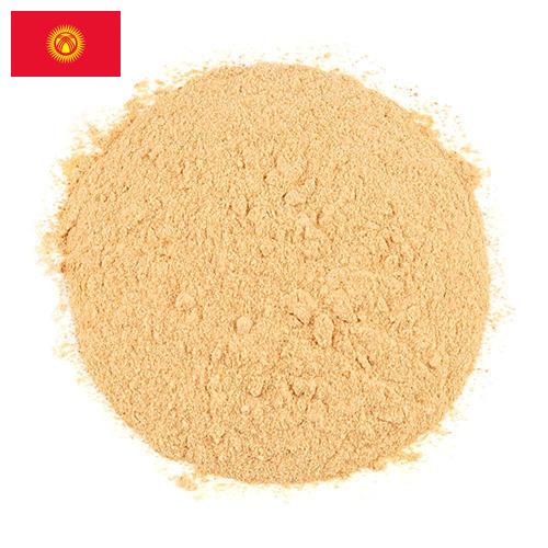 чеснок порошок из Киргизии