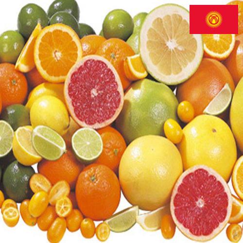 Цитрусовые фрукты из Киргизии