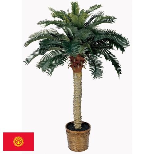 Деревья искусственные из Киргизии