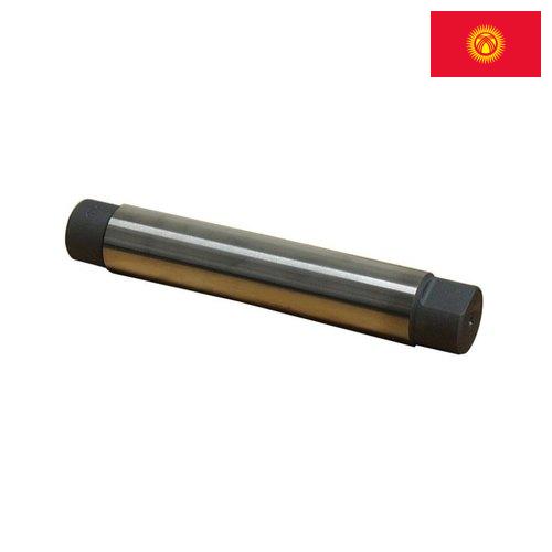 Дорн из Киргизии