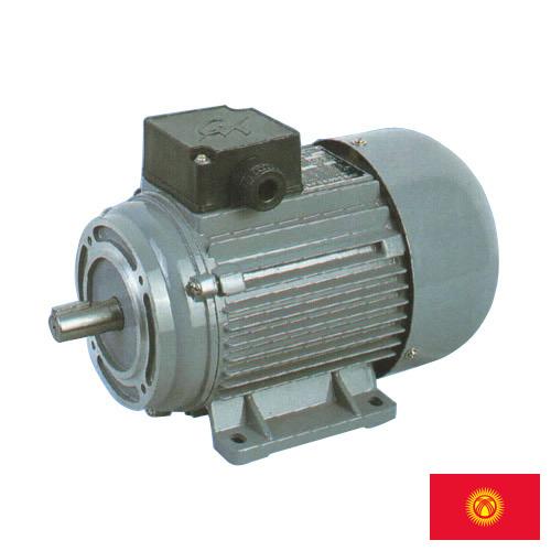 двигатели электрические из Киргизии